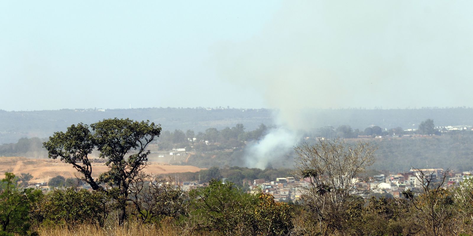 MMA lança edital para arborizar periferia urbana de pequenas cidades